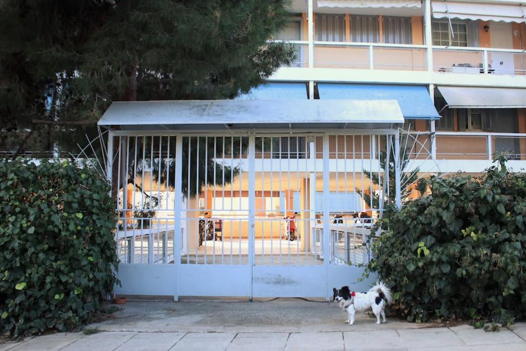Agnes Apartment Filopappou Athena Bagian luar foto